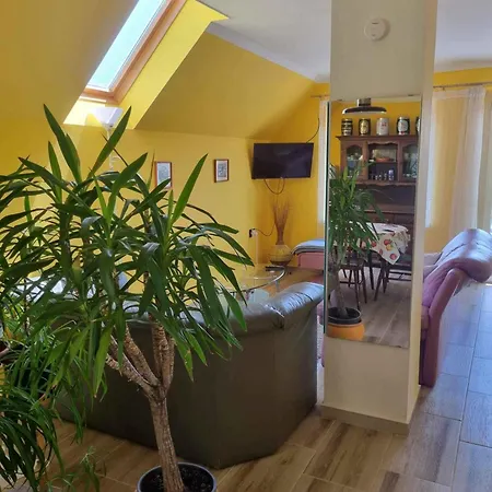 Appartement 7